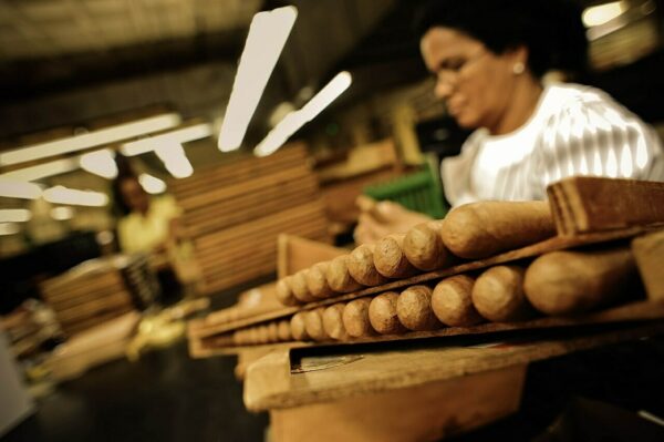 handmade Cigar