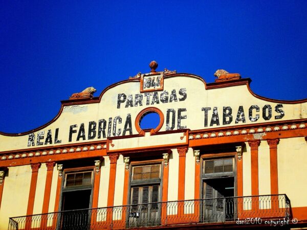 Partagas Factory