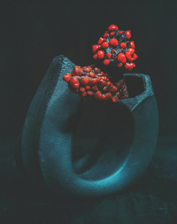 Sea tulip in Pinot Noir batter;