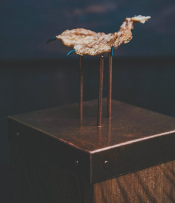 Wild duck foot cooked in aged duck fat