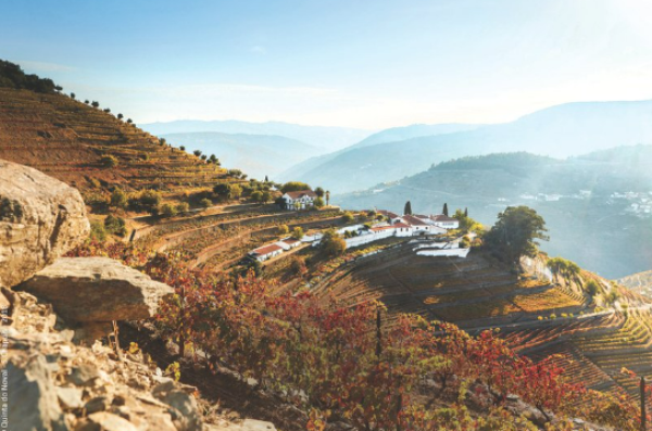 The Quinta do Noval estate in the Douro Valley, Portugal