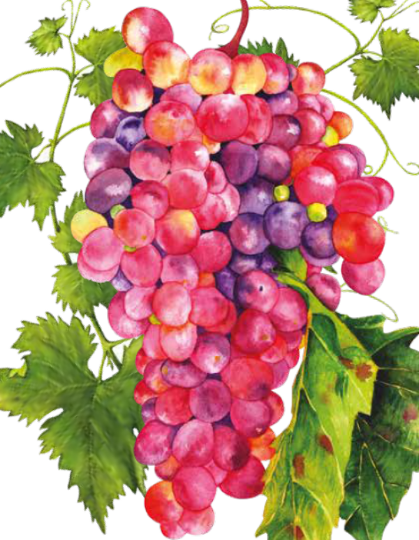 Because we can, let’s wine and dine, drink and dance, all of it so much sweeter now