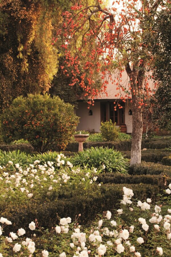 Hotel Casa Real and surrounding gardens