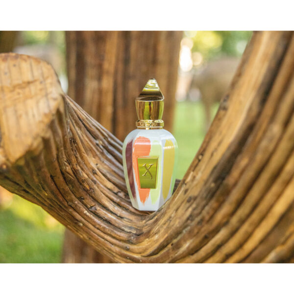 Xerjoff CoExistence perfume