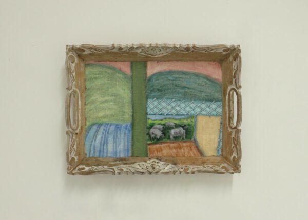 Freesia Tianyue Pi Remembering Charleston Farmhouse