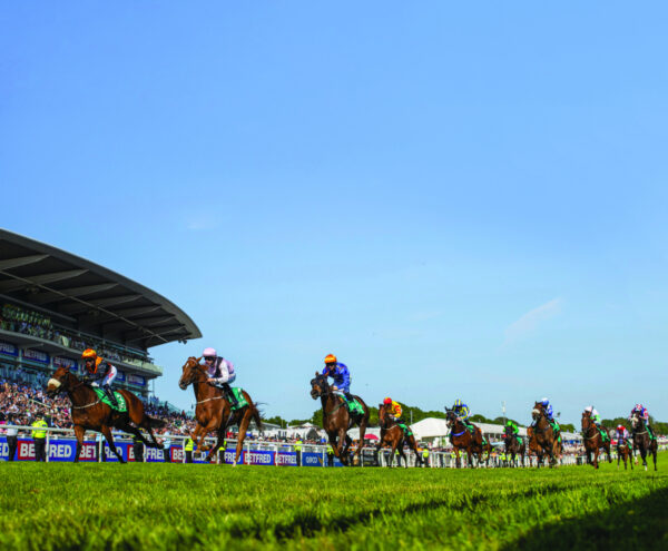 Horse Racing