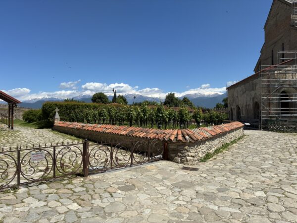 The vineyard at the Alaverdi Monastery, in which 125 different grape varieties are preserved.
