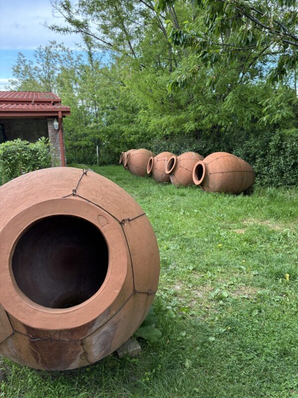 Newly-made kvevri: production struggles to keep up with demand.