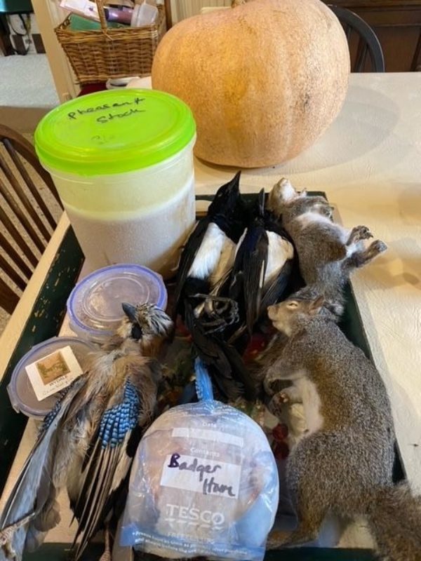 The survivalist’s pantry – hedgerow meats, roadkill and random field finds