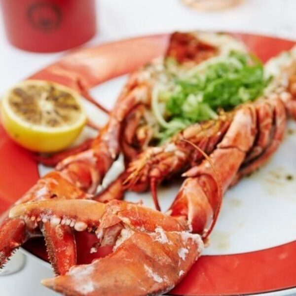 Lobster