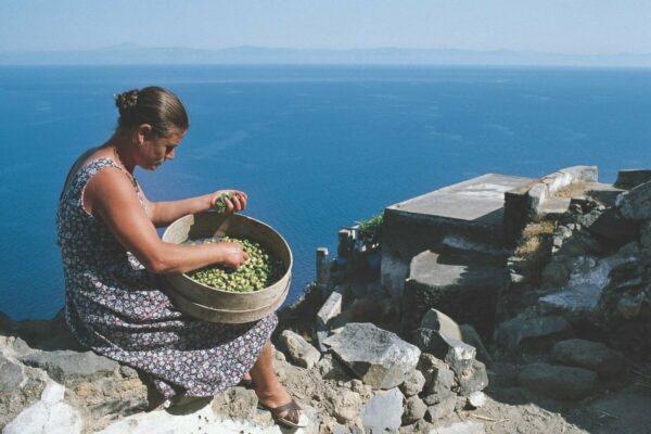 Preparing capers for salting on the Aeolian island of Alicudi