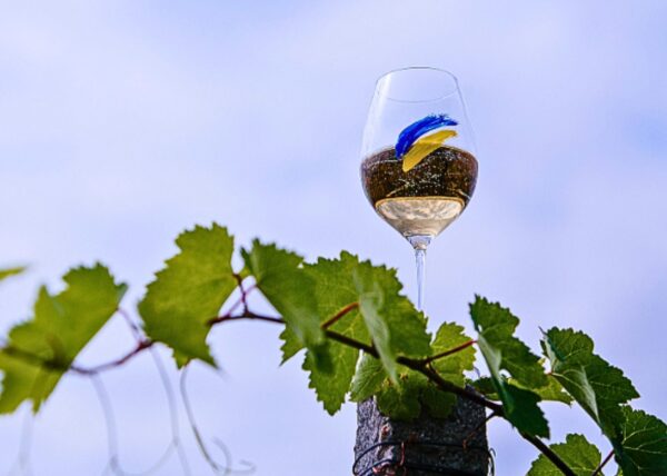 Wines of Ukraine