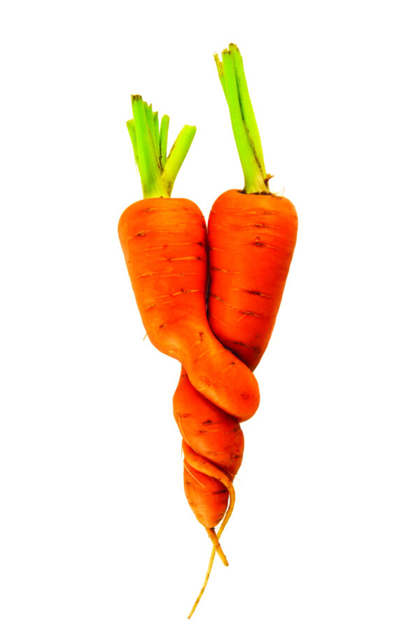 Carrot