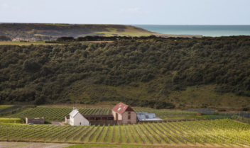 All That Sparkles- English sparkling wine makers fizz with ideas