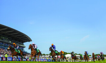 The Turf: The Race For Glory