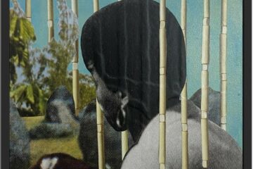 Jazz Grant Dreamer 2024 36cmx36cm mixed media paper collage acrylic wood board