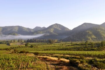 Diving In: A Journey Through Wine, Friendship, and the Cold Pacific