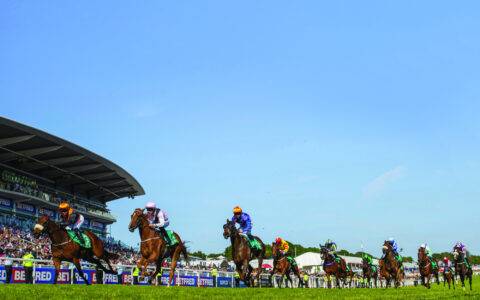 The Turf: The Race For Glory
