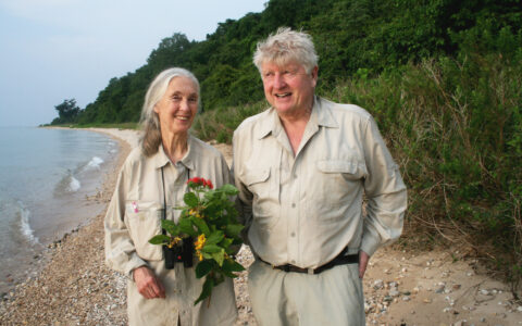 Me Stanley, You Jane
